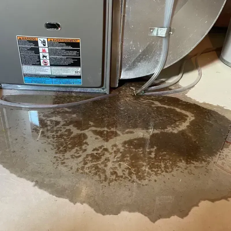 Appliance Leak Cleanup in Greenwood, LA